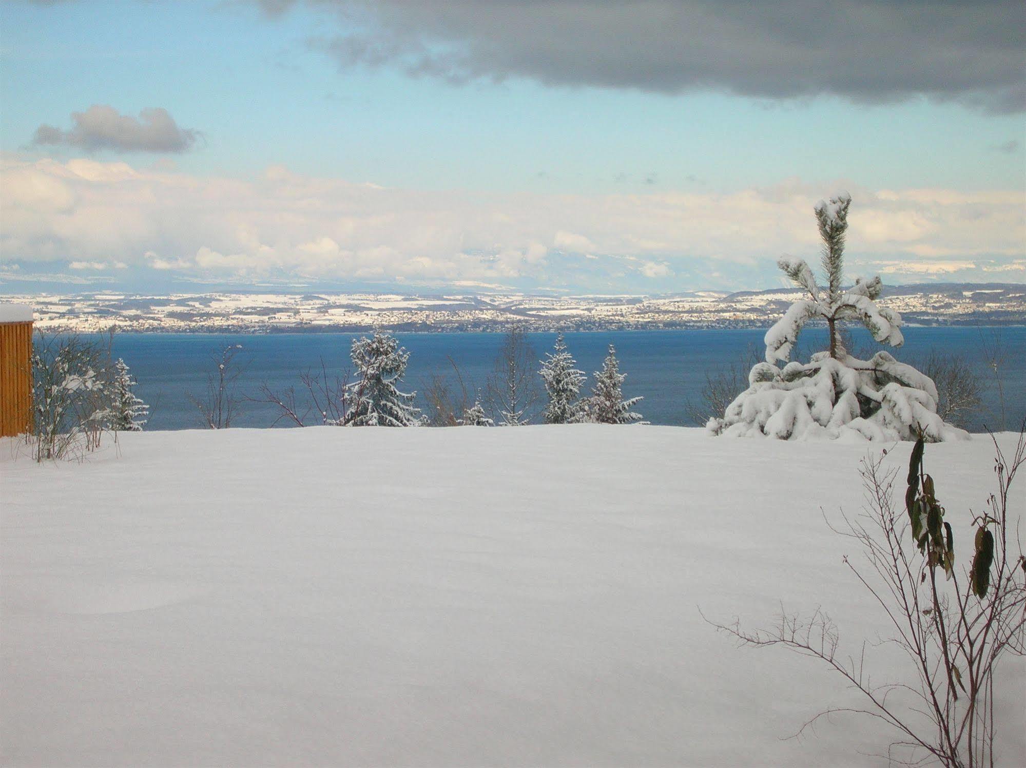 Residence Odalys Les Chalets D'Evian Ngoại thất bức ảnh